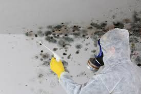 Best Air Quality Testing for Mold Spores  in , NH